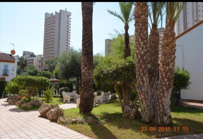 Sunshine Apartament Appartement Benidorm Buitenkant foto